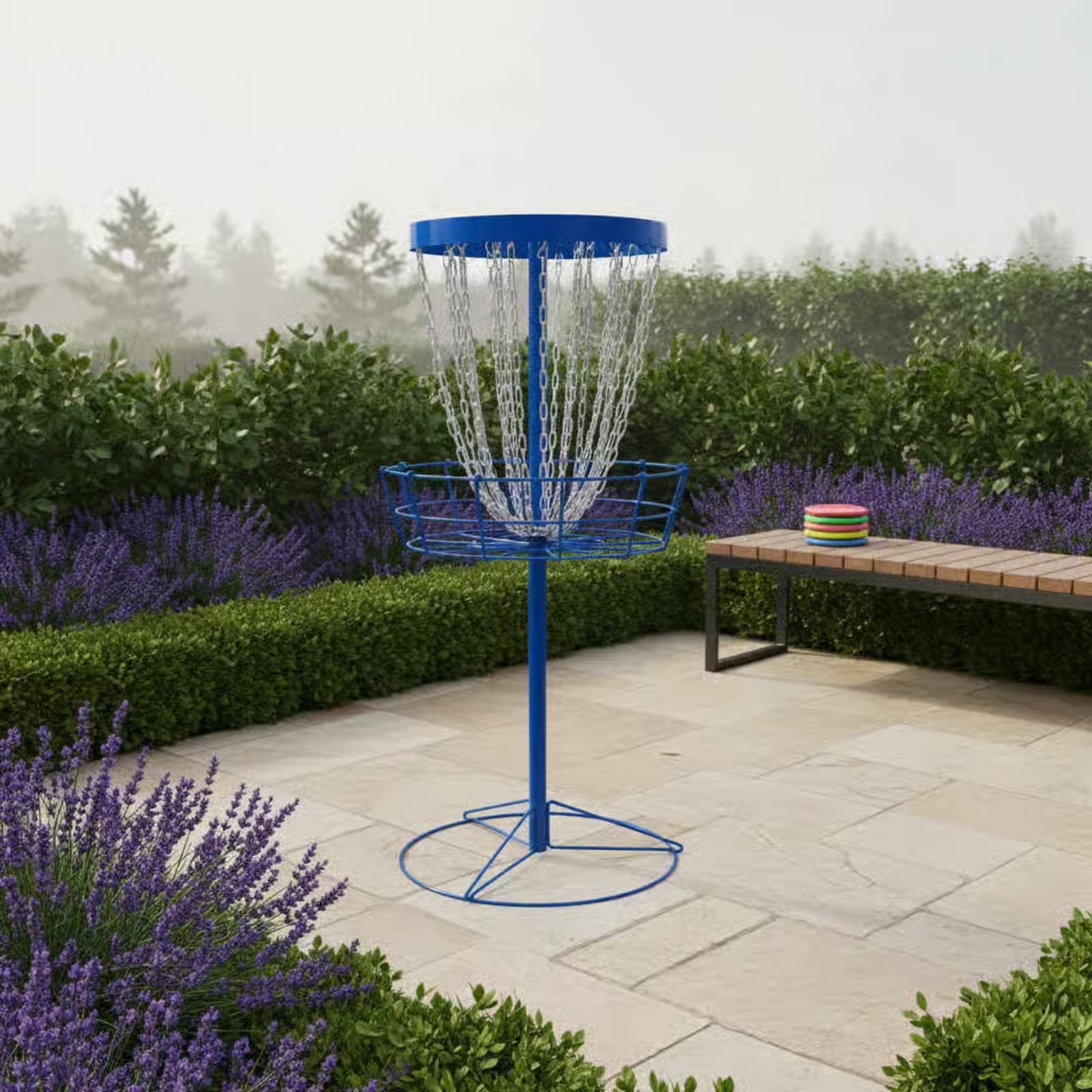 Disc Golf Training Basket Easy - Sports Equipment For Training ulasan dan harga
